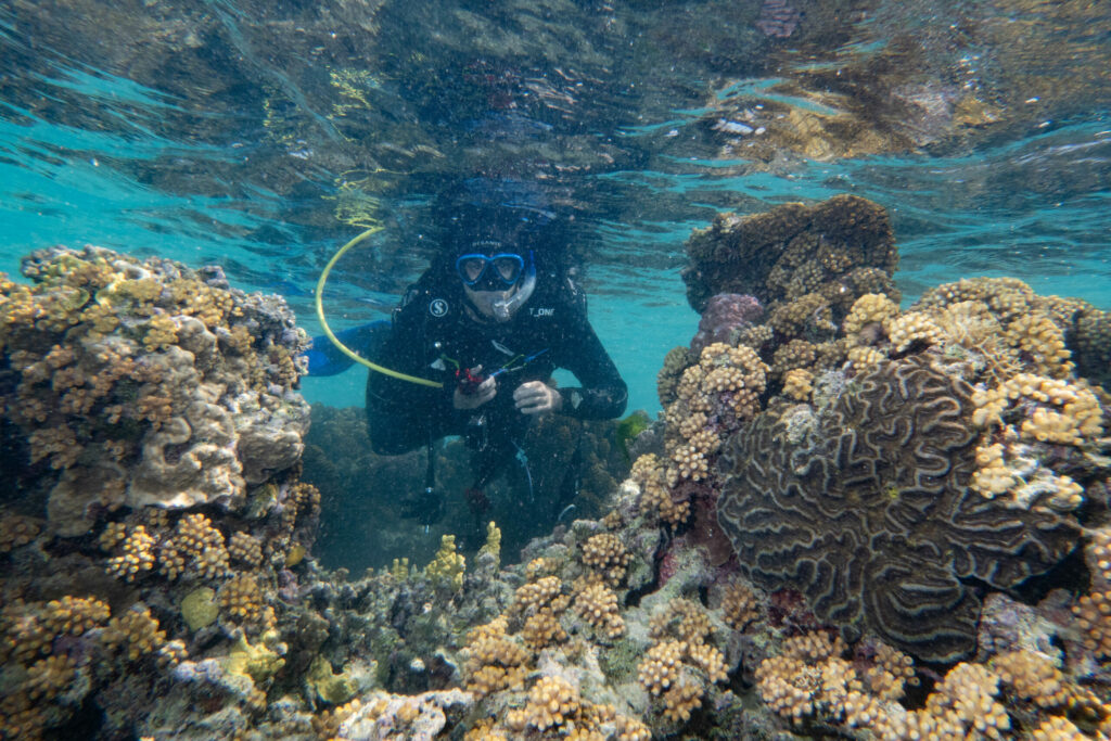 Surveying amoung the corals; By John Turnbull