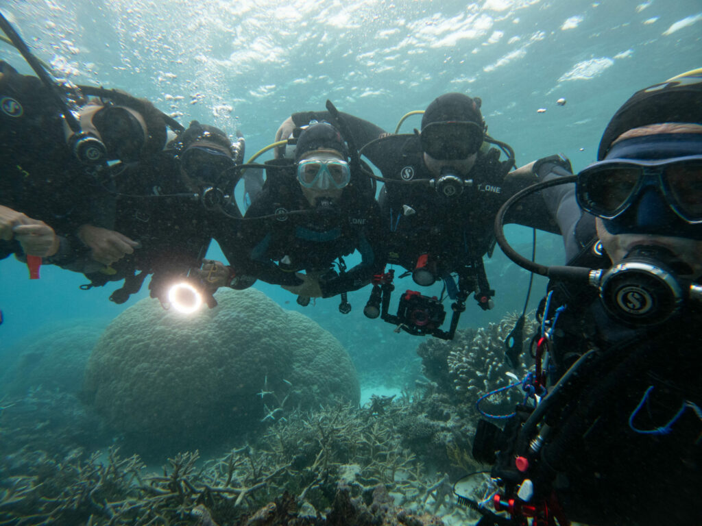 Survey team; By John Turnbull